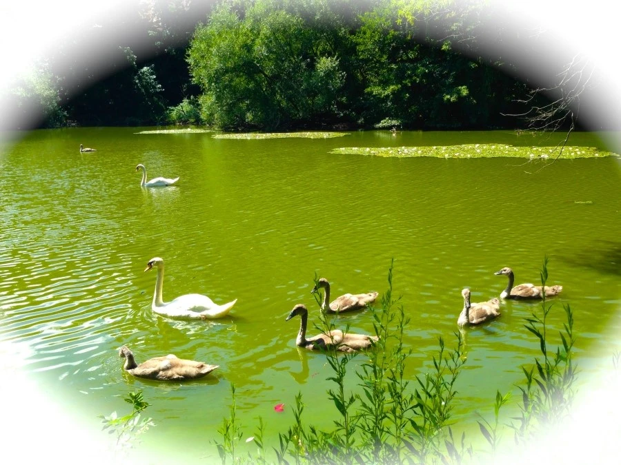 IMG_9022.JPG?type=w1