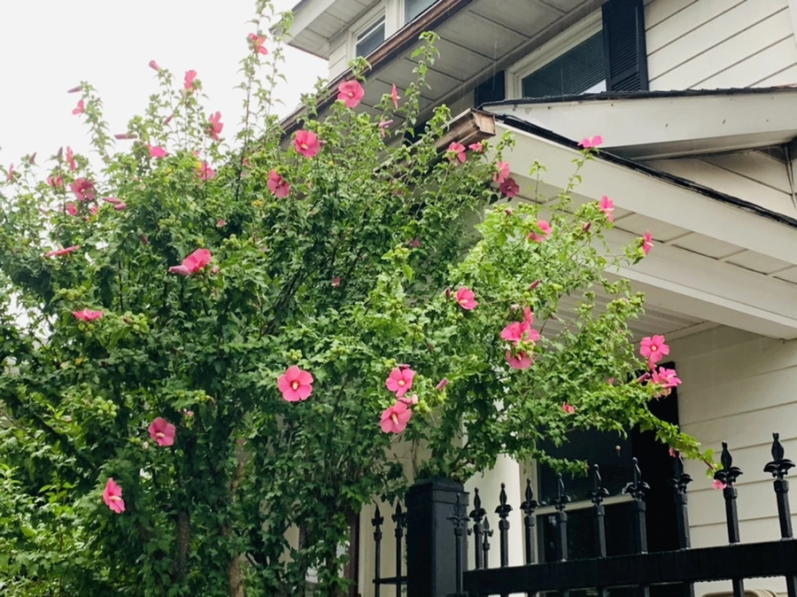 IMG_3649.jpg?type=w966