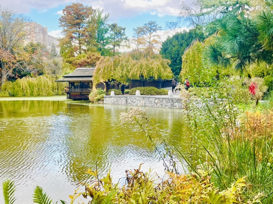 IMG_0185.jpg?type=w966