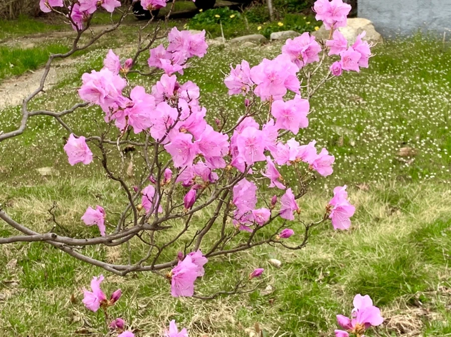 IMG_5993.jpg?type=w966