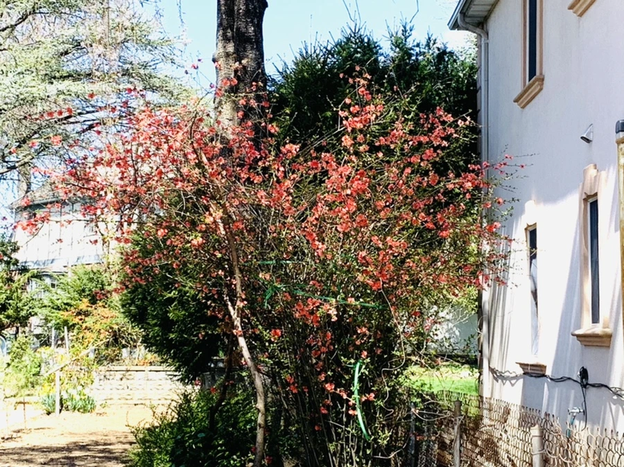 IMG_8553.jpg?type=w966