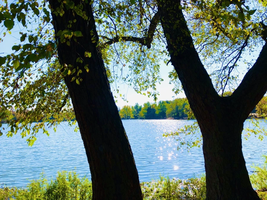 IMG_3221.jpg?type=w966