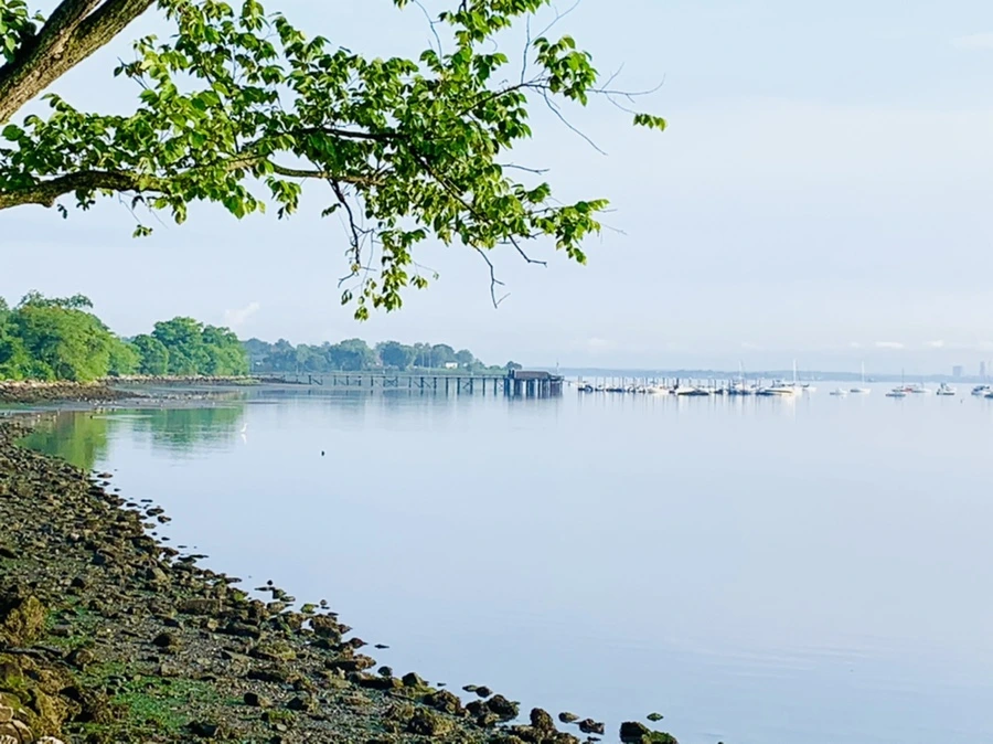 IMG_4353.jpg?type=w966