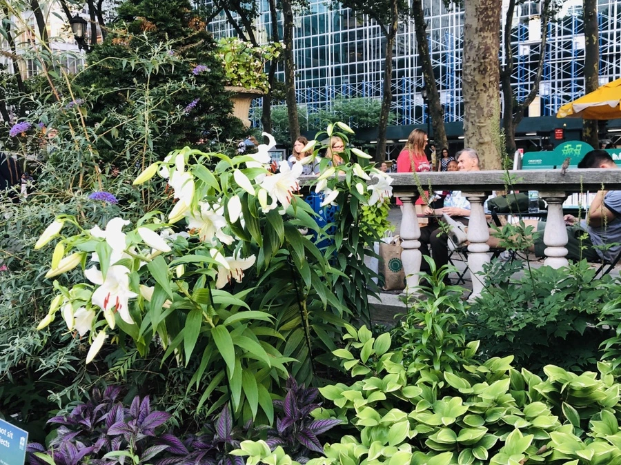 IMG_7348.jpg?type=w966