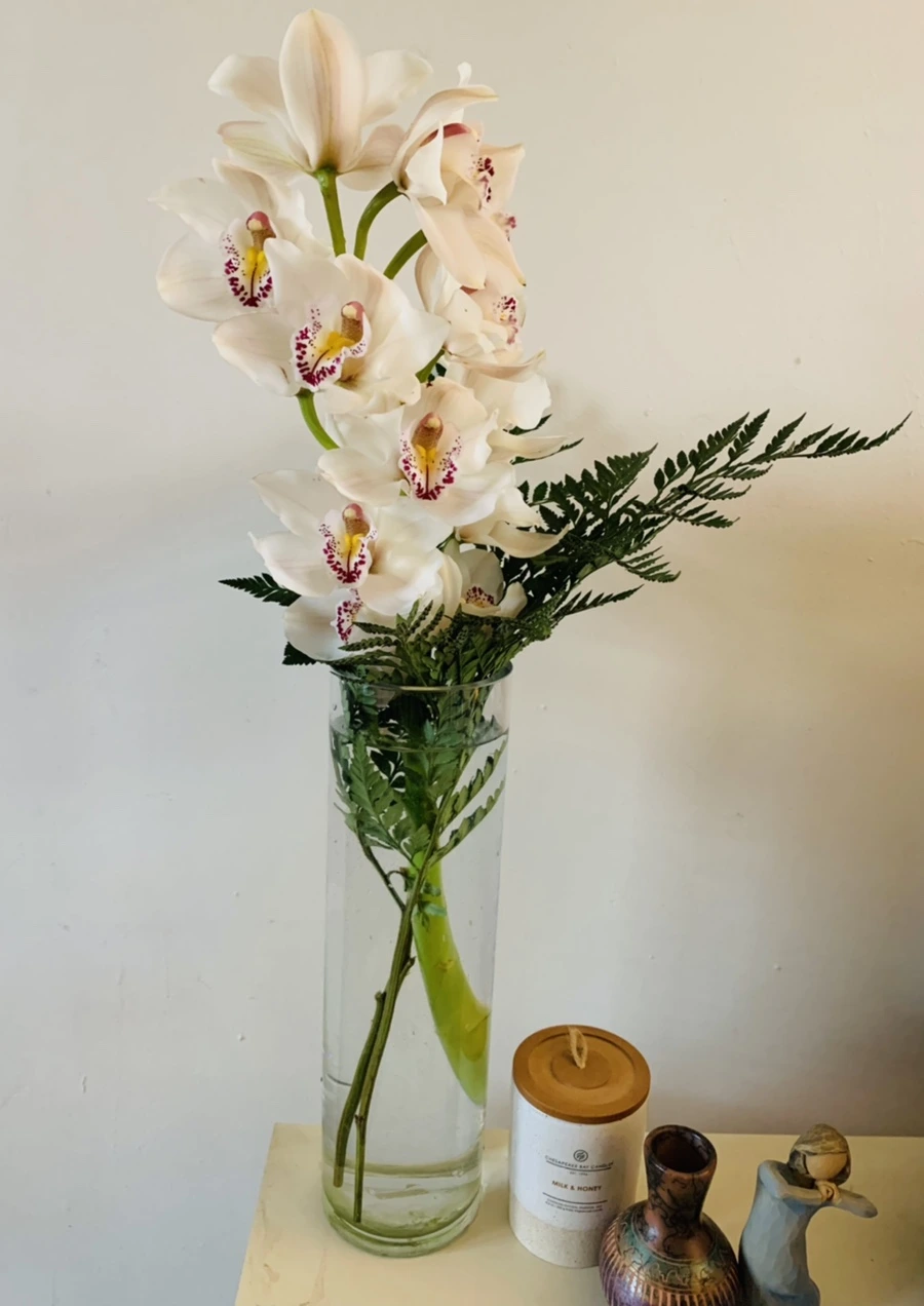 IMG_7418.jpg?type=w966