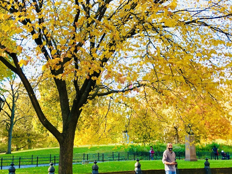 IMG_3505.jpg?type=w966