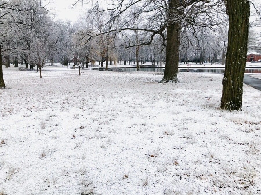 IMG_4468.jpg?type=w966