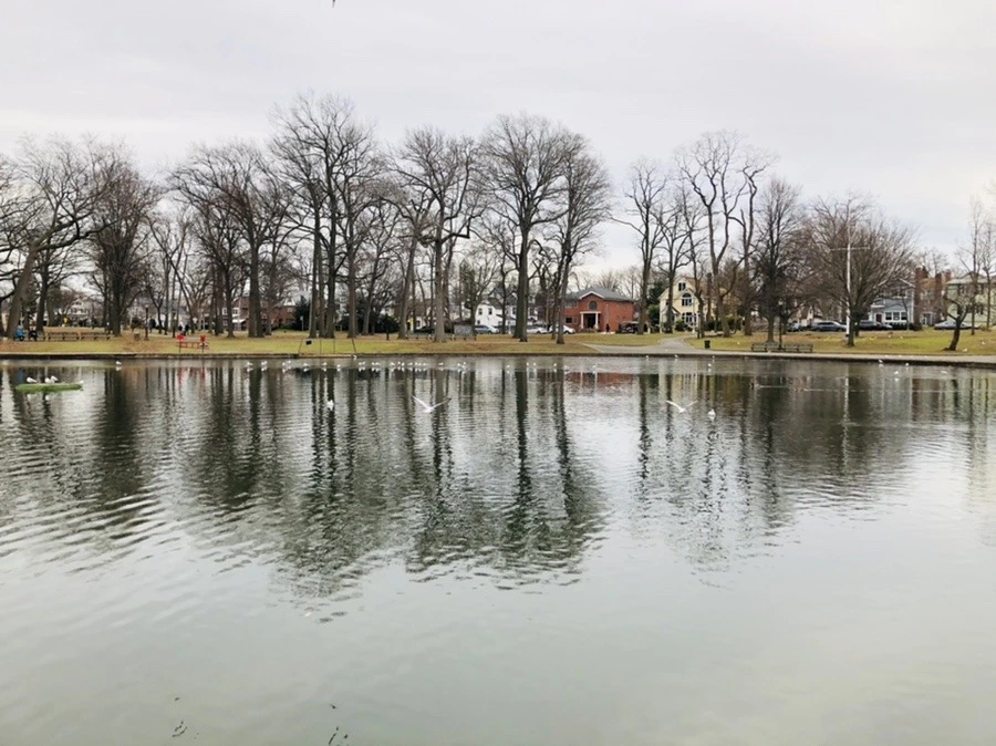 WrddrdsahHIgDsOz3gpW7TTOduE