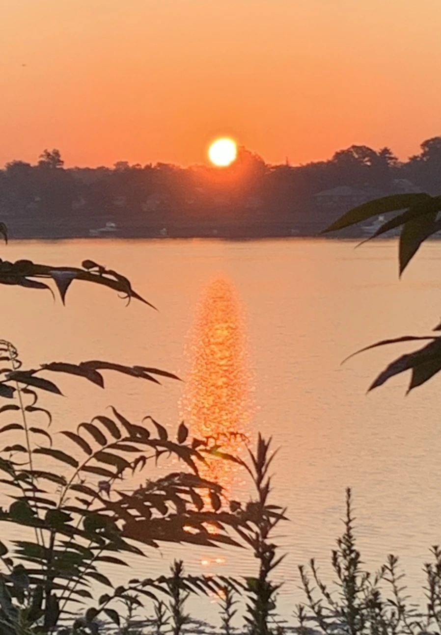 IMG_7190.jpg?type=w966