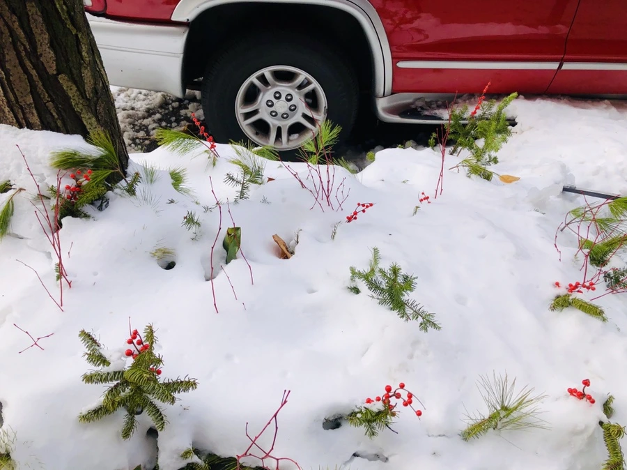 IMG_7225.jpg?type=w966