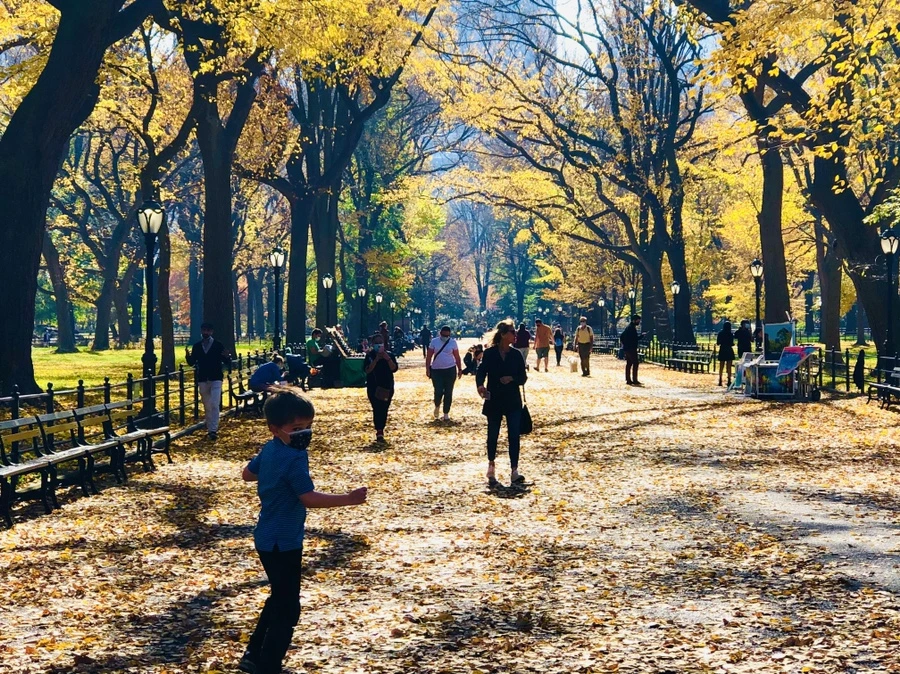 IMG_4319.jpg?type=w966