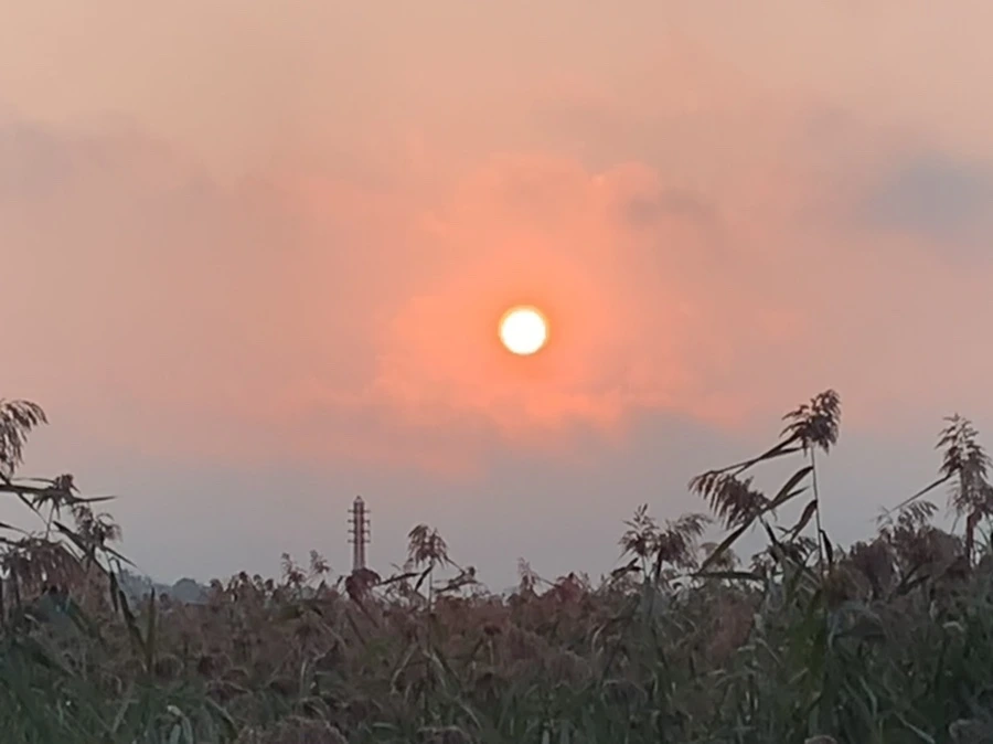 IMG_1152.jpg?type=w966