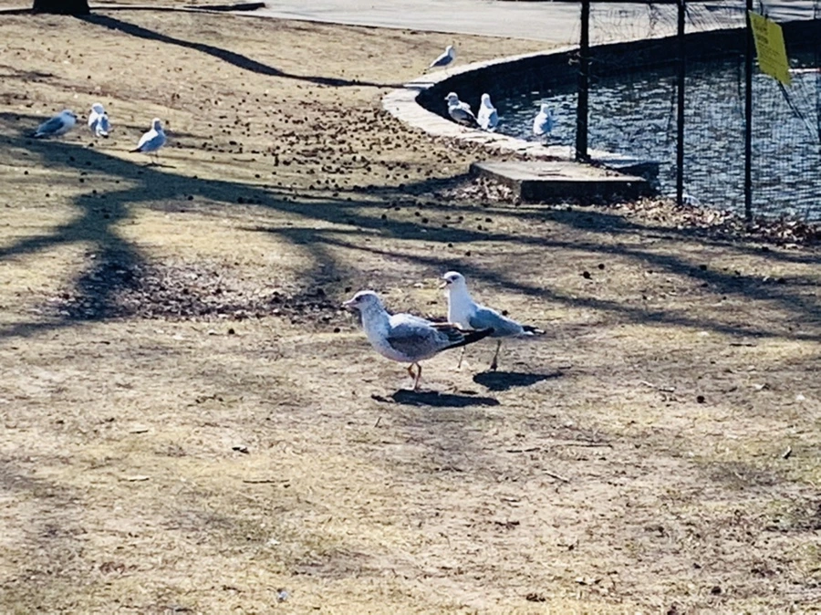 IMG_9339.jpg?type=w966