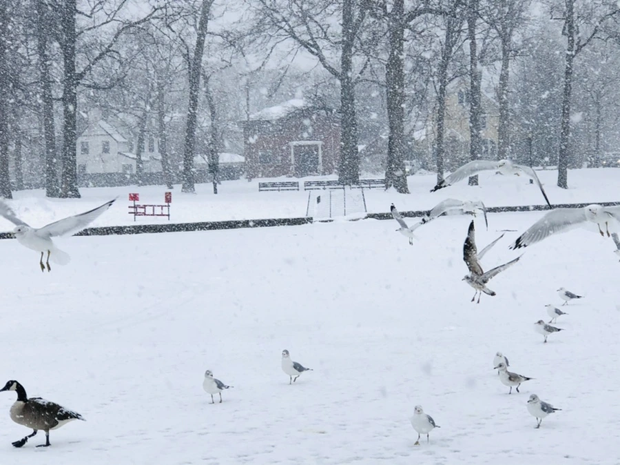 IMG_4169.jpg?type=w966