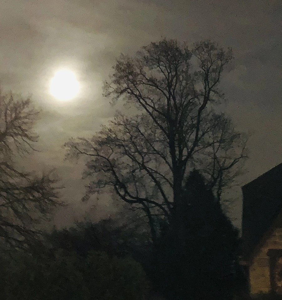 IMG_8575.jpg?type=w966