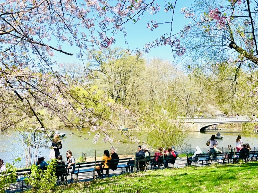 IMG_0684.jpg?type=w966