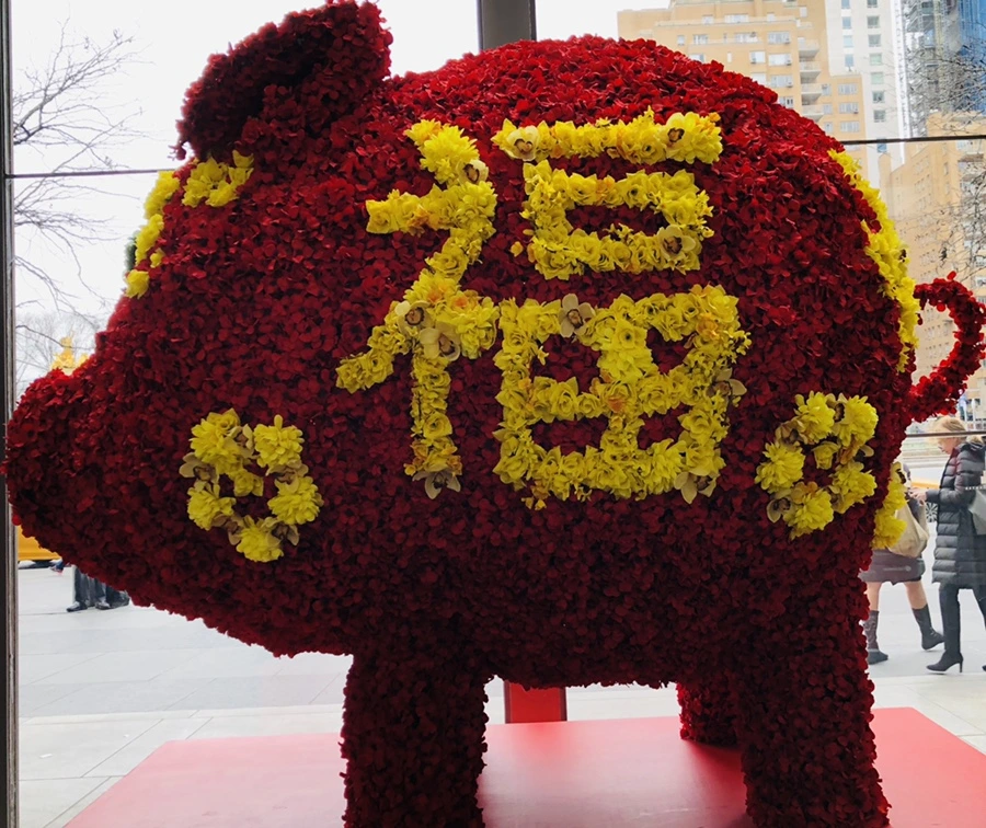 IMG_9294.jpg?type=w966