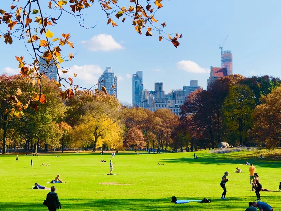 IMG_4365.jpg?type=w966