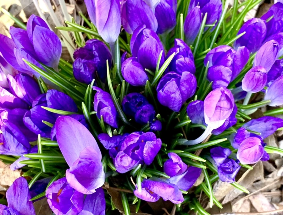 IMG_1505.jpg?type=w966