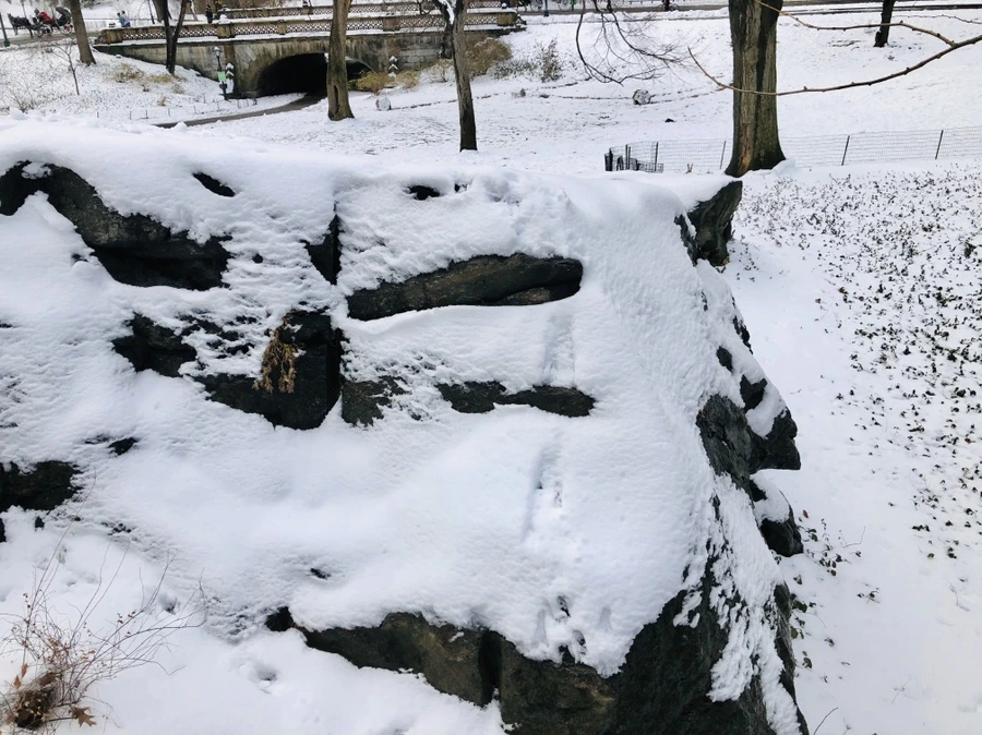 IMG_0391.jpg?type=w966