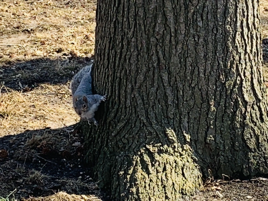 IMG_6939.jpg?type=w966