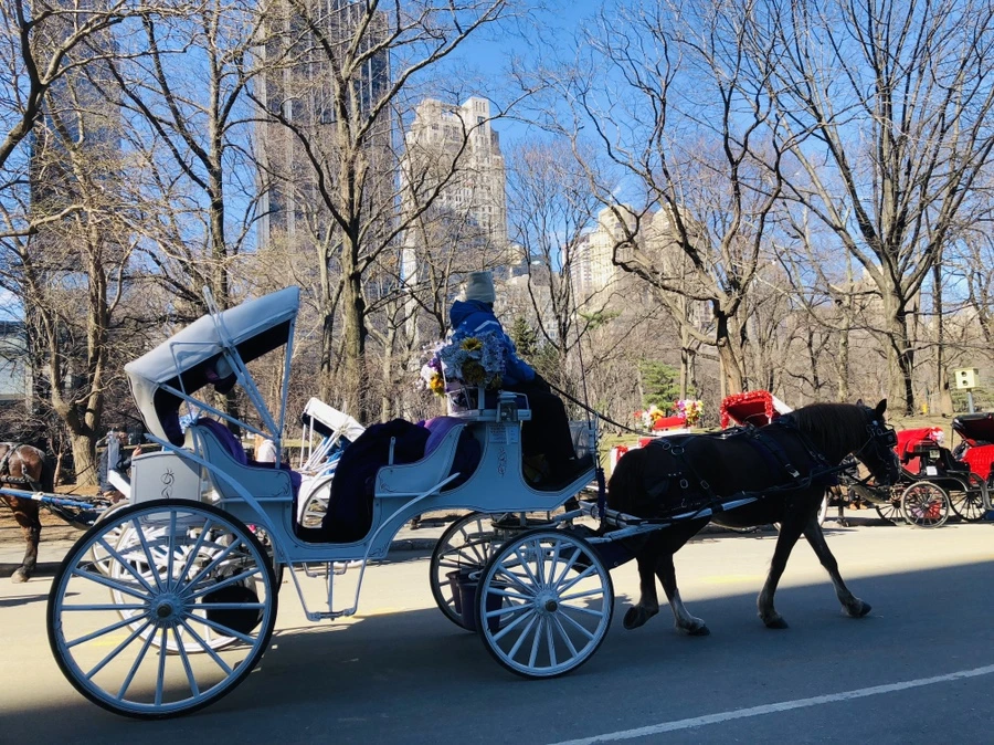 IMG_1177.jpg?type=w966