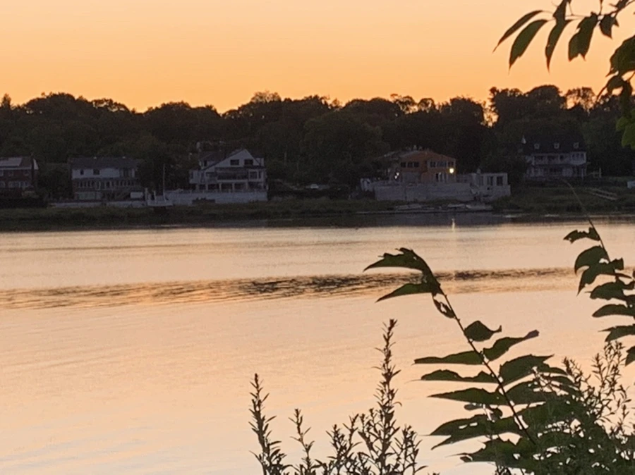 IMG_7473.jpg?type=w966