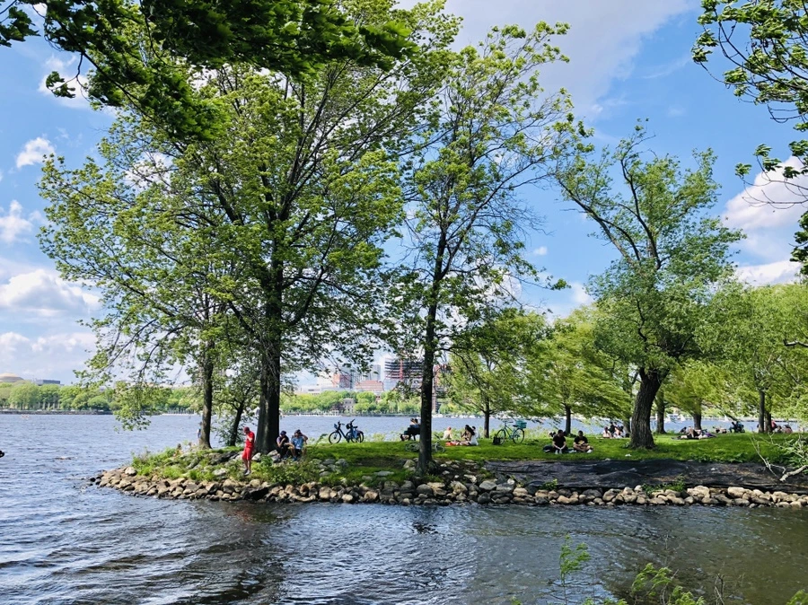 IMG_5237.jpg?type=w966