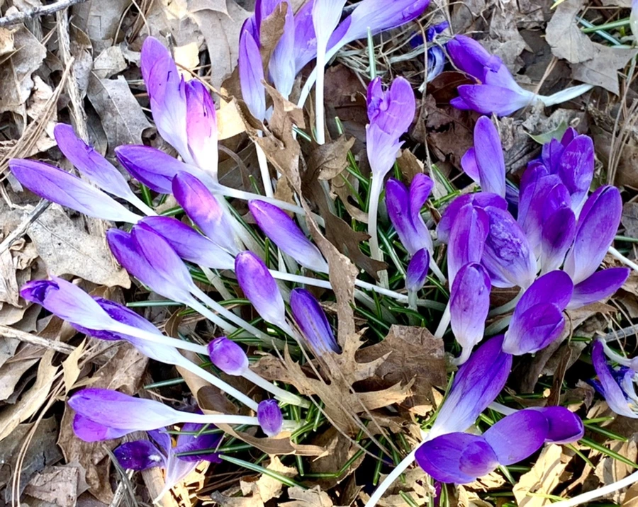 IMG_1500.jpg?type=w966