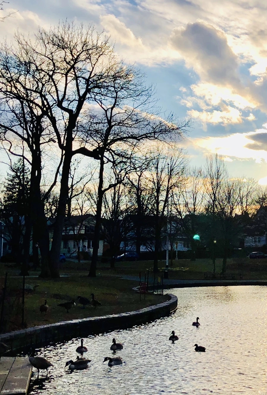 IMG_4409.jpg?type=w966