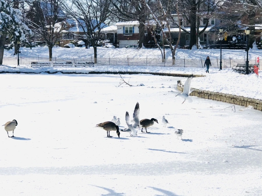 IMG_1329.jpg?type=w966