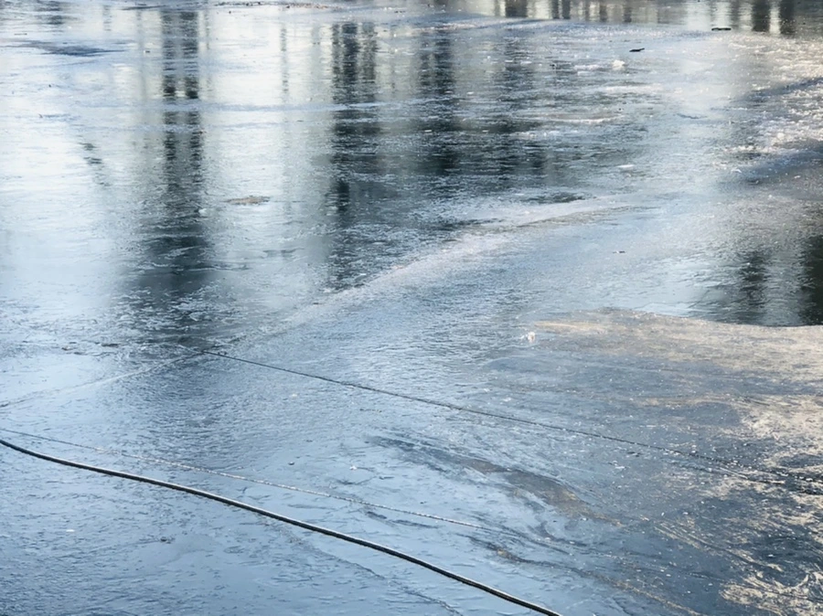 IMG_2232.jpg?type=w966