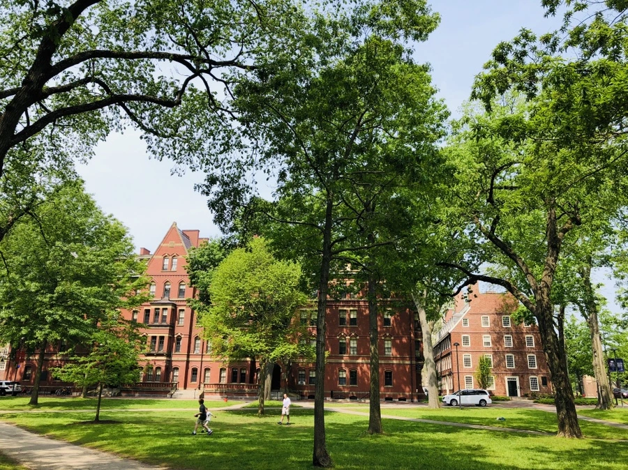 IMG_5469.jpg?type=w966