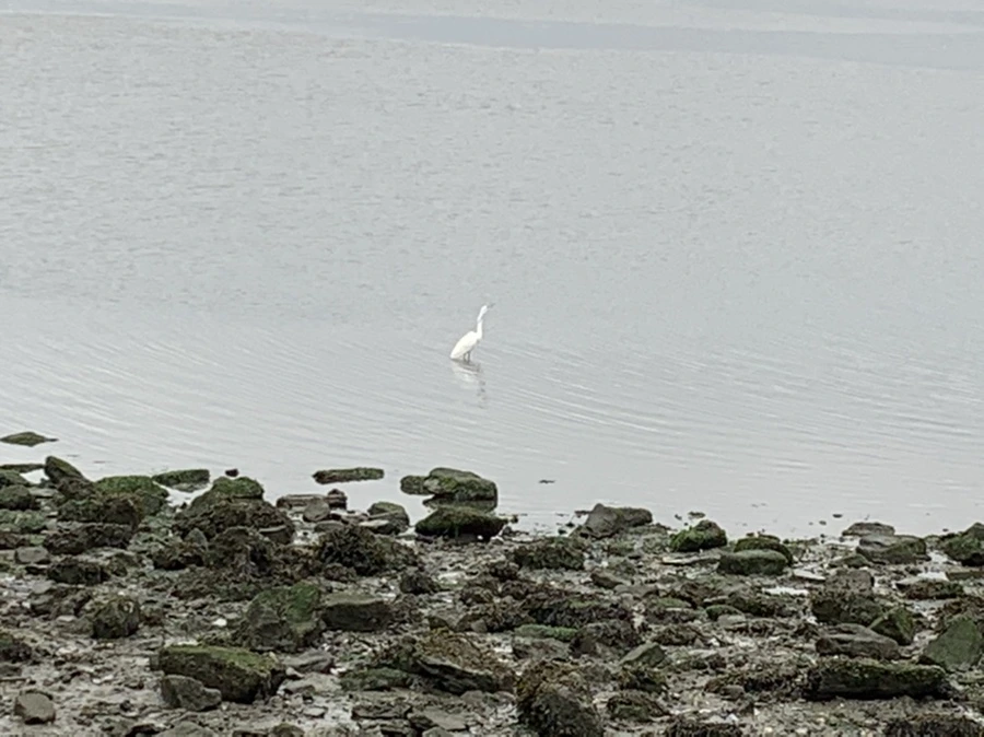 IMG_3633.jpg?type=w966