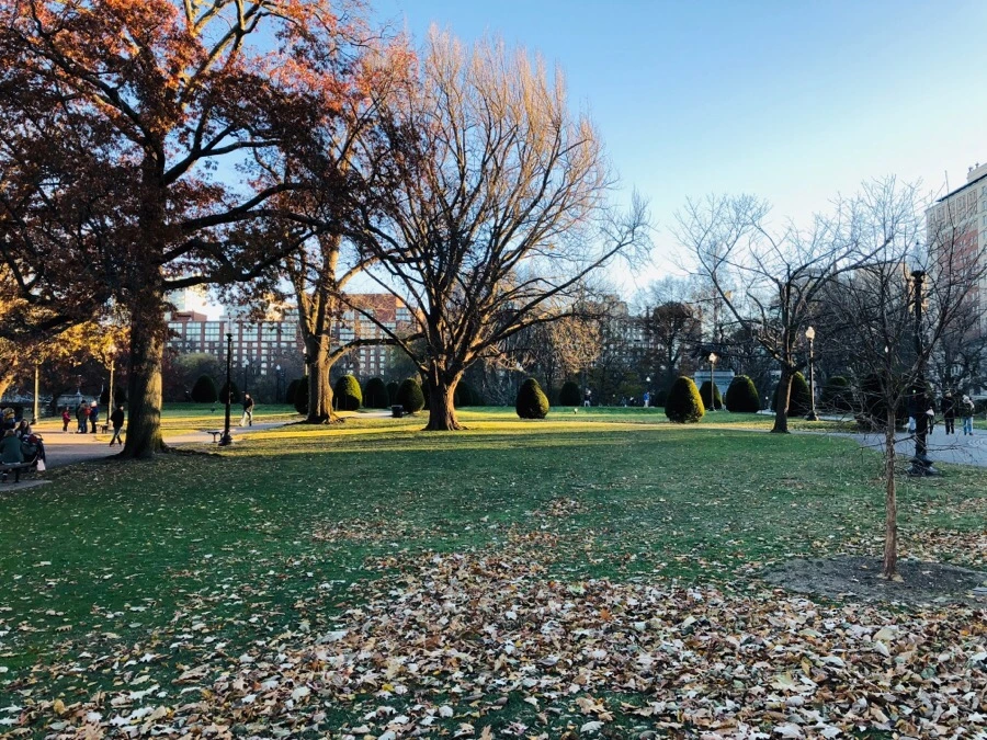 IMG_8003.jpg?type=w966