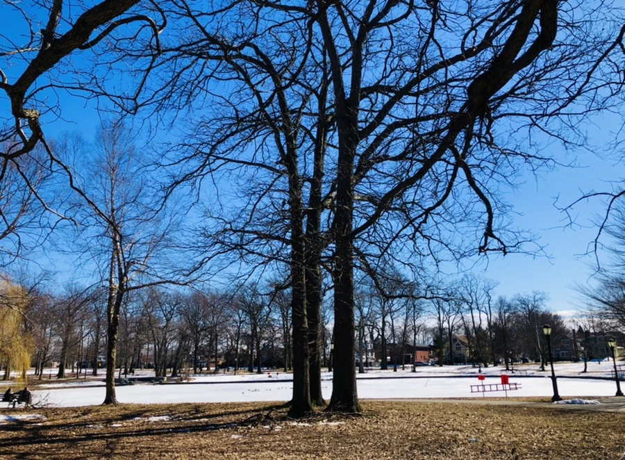 IMG_5016.jpg?type=w966