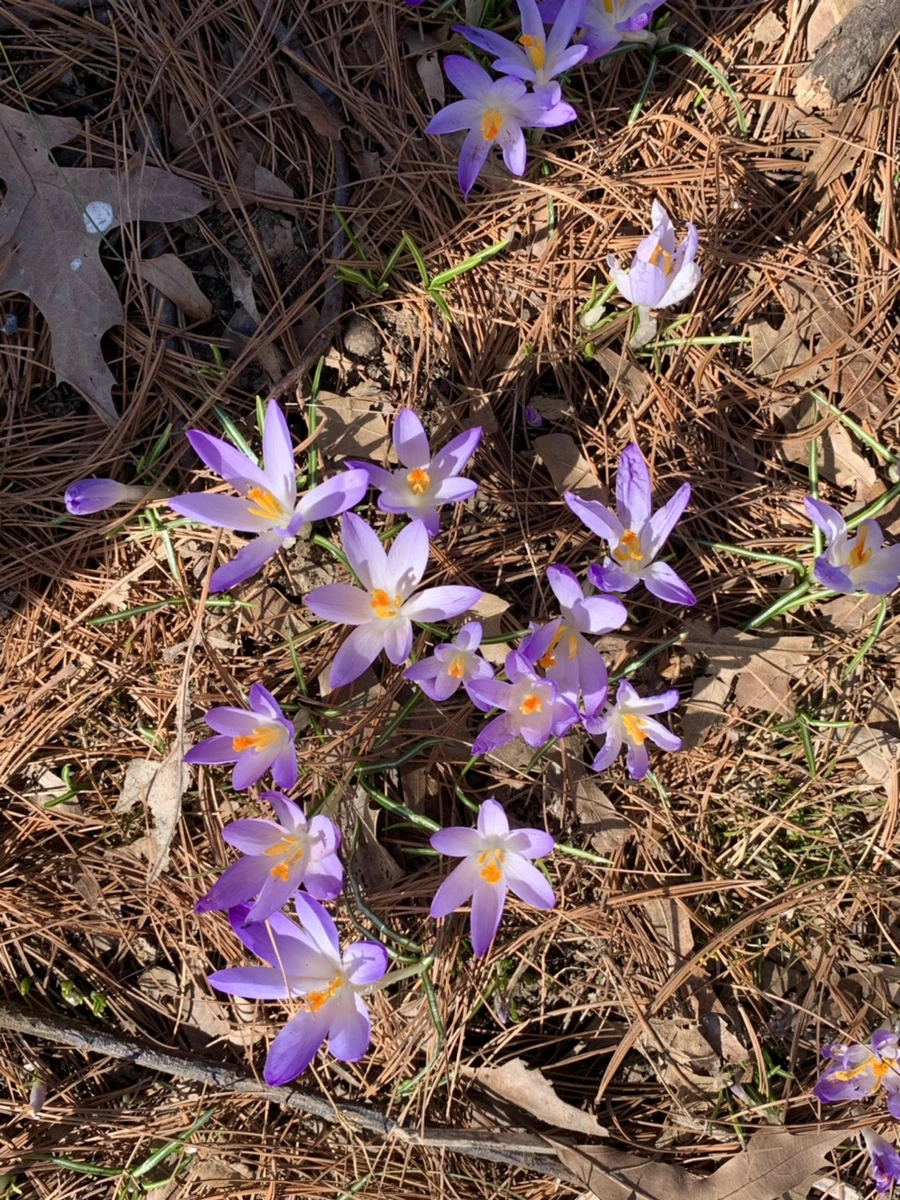 IMG_9675.jpg?type=w966