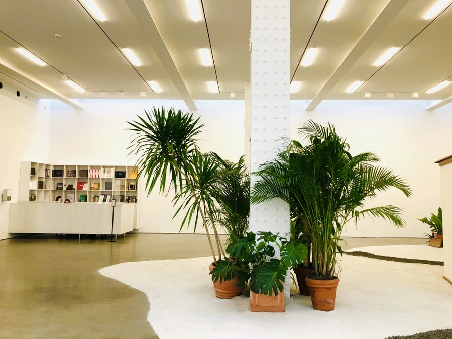 IMG_6696.jpg?type=w966