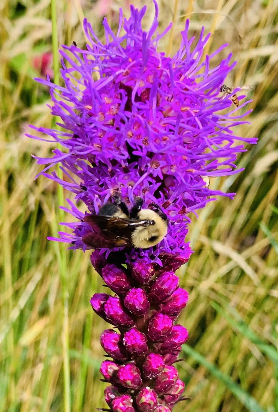 IMG_0576.jpg?type=w966