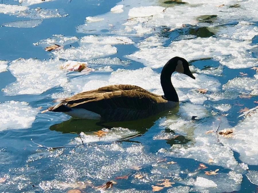 IMG_5087.jpg?type=w966