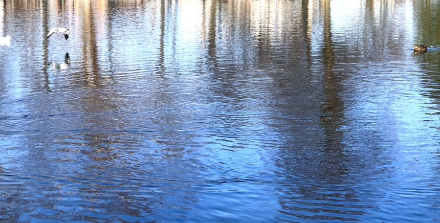 IMG_9756.jpg?type=w966