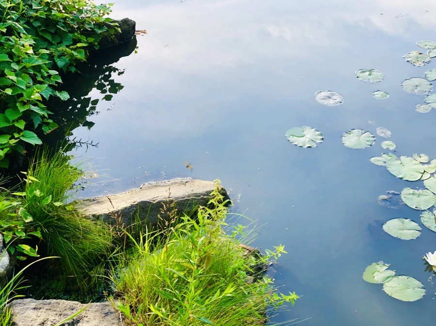 IMG_5007.jpg?type=w966