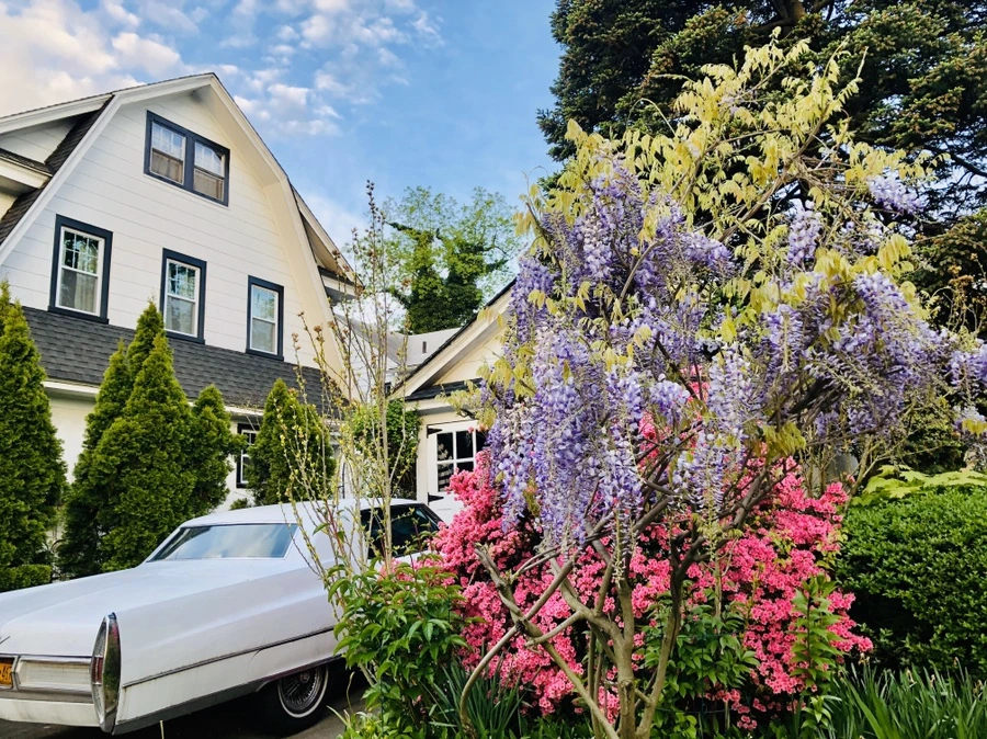 IMG_7284.jpg?type=w966