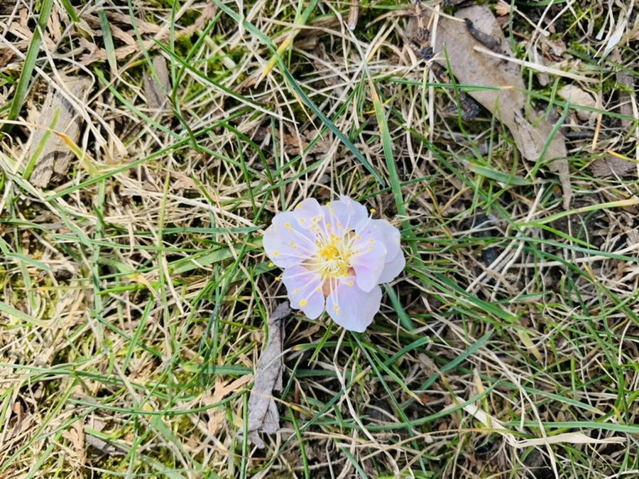 IMG_0968.jpg?type=w966