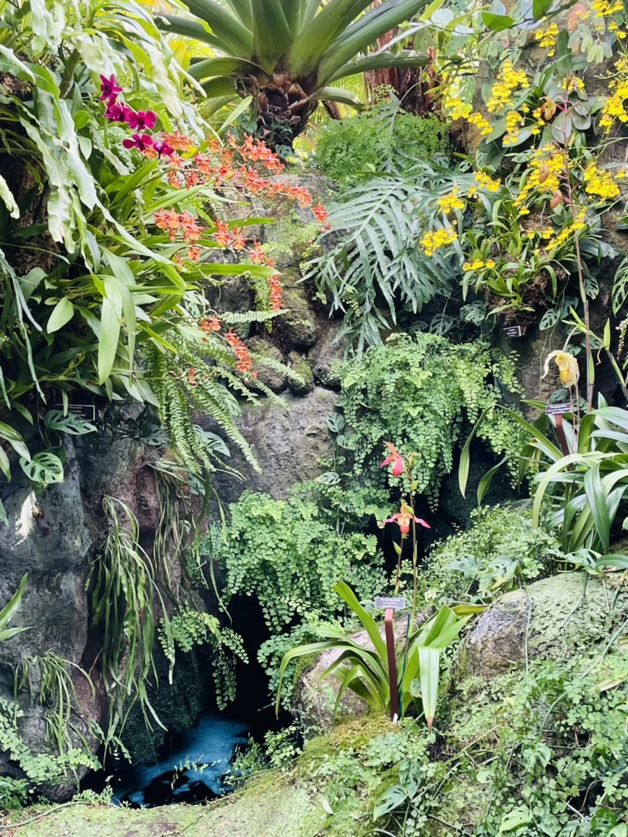 IMG_4480.jpg?type=w966