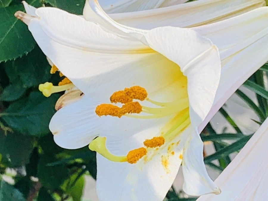 OnW3BKnlVL2FD0MsXexuT8Jt-o4