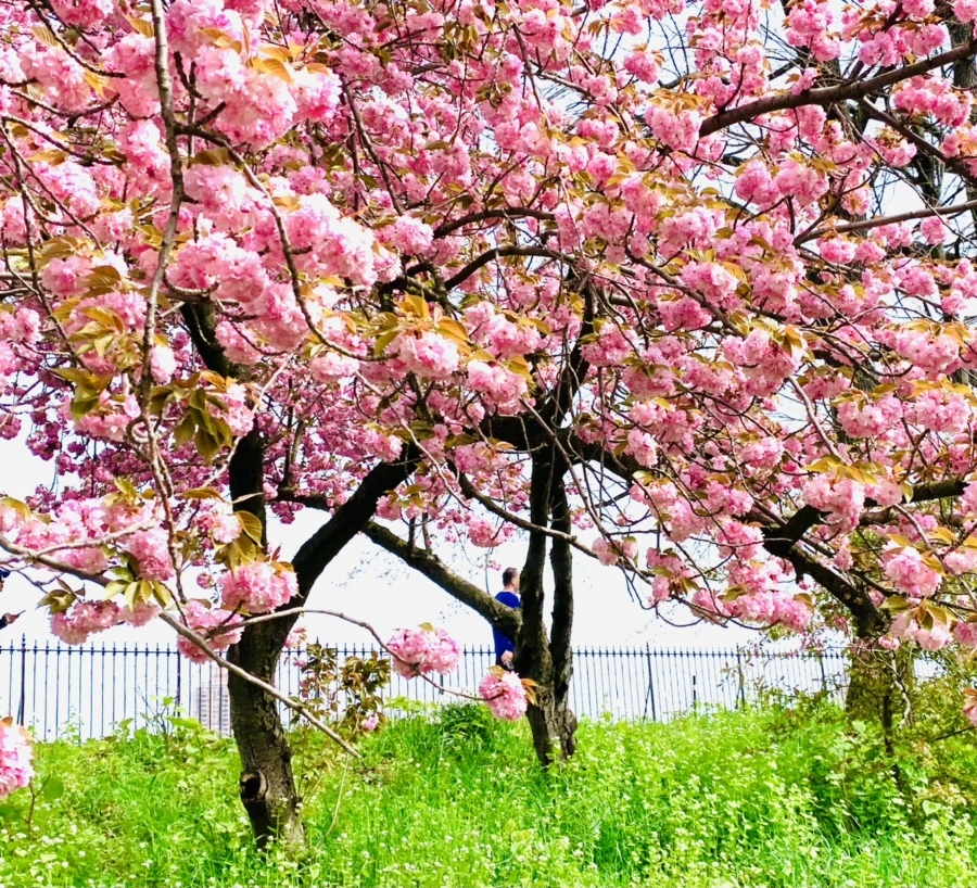 IMG_5181.jpg?type=w966