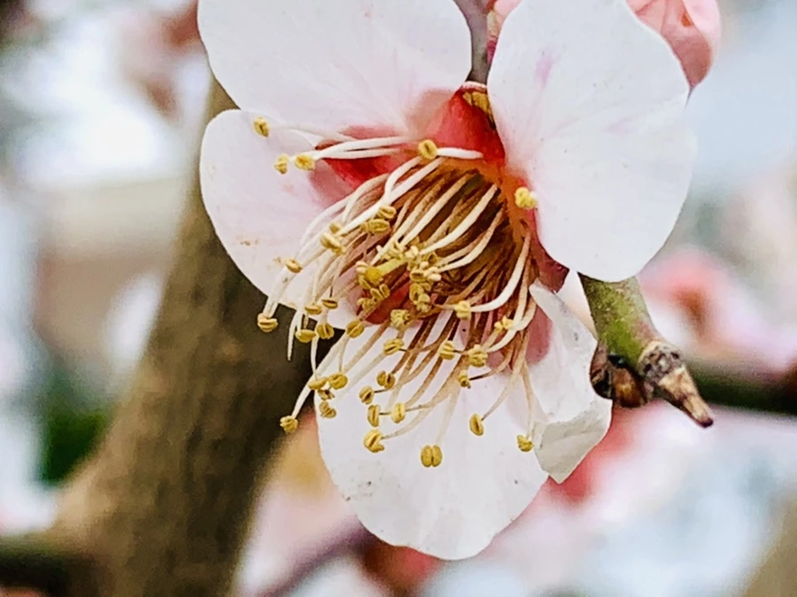 IMG_3579.jpg?type=w966