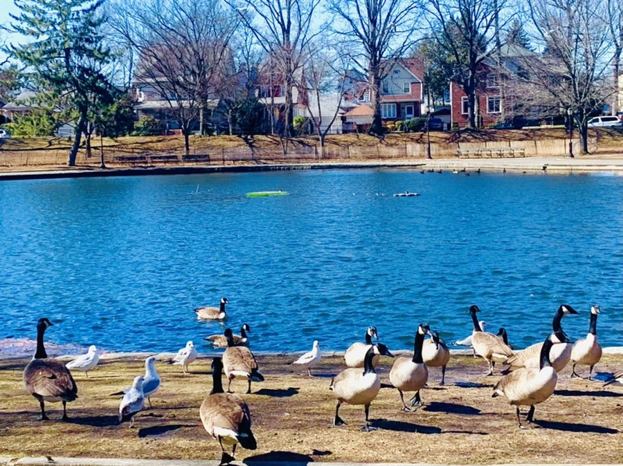 IMG_6687.jpg?type=w966