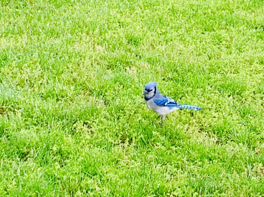 IMG_3230.jpg?type=w966